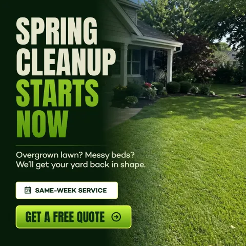 Meta ad: Spring cleanup starts now