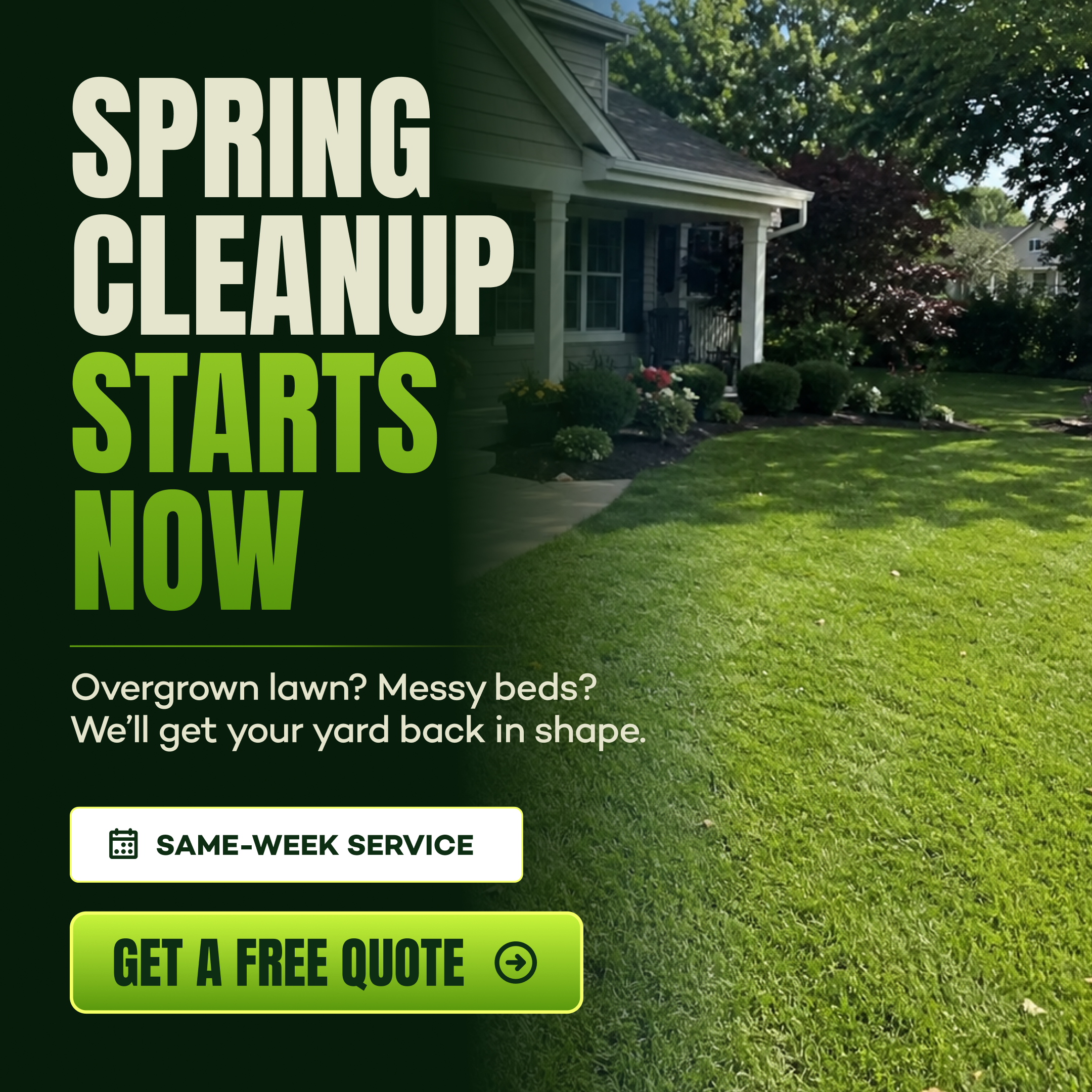 Anúncio Meta: A limpeza de primavera começa agora
